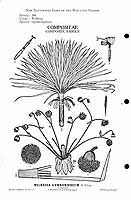  no thumbnail available