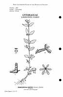  no thumbnail available