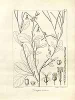  no thumbnail available