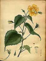  no thumbnail available