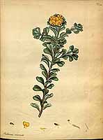  no thumbnail available