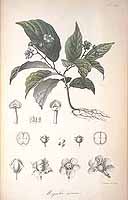  no thumbnail available