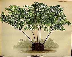  no thumbnail available