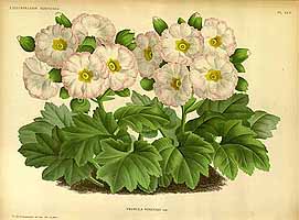  no thumbnail available