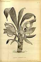  no thumbnail available