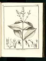  no thumbnail available