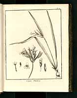  no thumbnail available