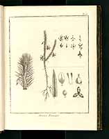  no thumbnail available