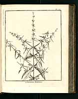  no thumbnail available