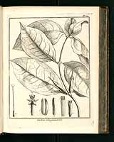  no thumbnail available