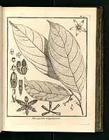  no thumbnail available