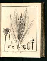  no thumbnail available