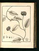  no thumbnail available