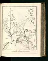  no thumbnail available