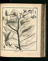  no thumbnail available