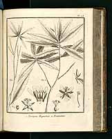  no thumbnail available