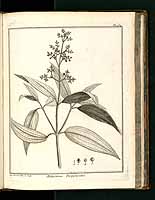  no thumbnail available