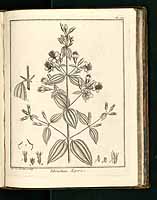  no thumbnail available