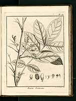  no thumbnail available