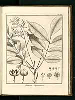  no thumbnail available