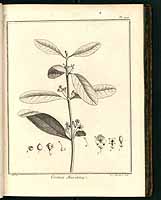  no thumbnail available