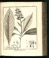  no thumbnail available