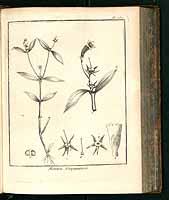  no thumbnail available