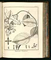  no thumbnail available