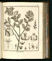  no thumbnail available