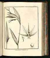  no thumbnail available