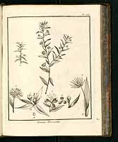  no thumbnail available