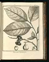  no thumbnail available