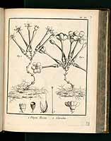  no thumbnail available