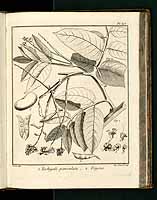  no thumbnail available