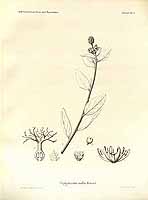  no thumbnail available