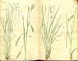  no thumbnail available