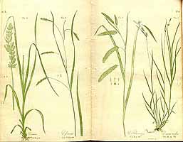  no thumbnail available