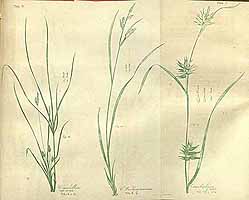  no thumbnail available