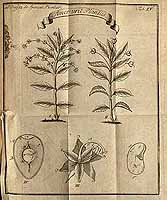  no thumbnail available