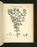  no thumbnail available