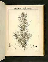  no thumbnail available