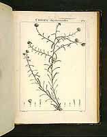  no thumbnail available