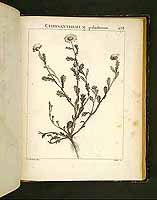  no thumbnail available