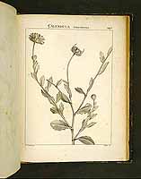  no thumbnail available