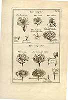  no thumbnail available