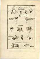  no thumbnail available