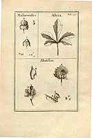  no thumbnail available