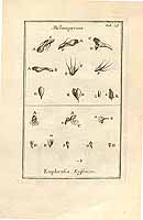  no thumbnail available