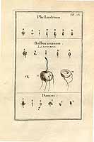  no thumbnail available