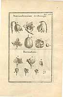  no thumbnail available